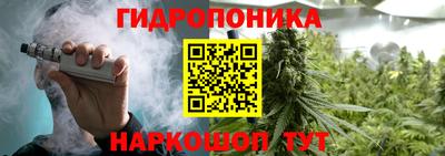 ешки Краснознаменск