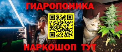 ешки Краснознаменск