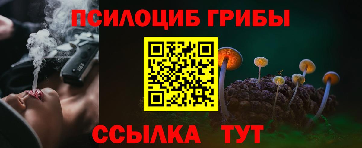 Галлюциногенные грибы Magic Shrooms Томск